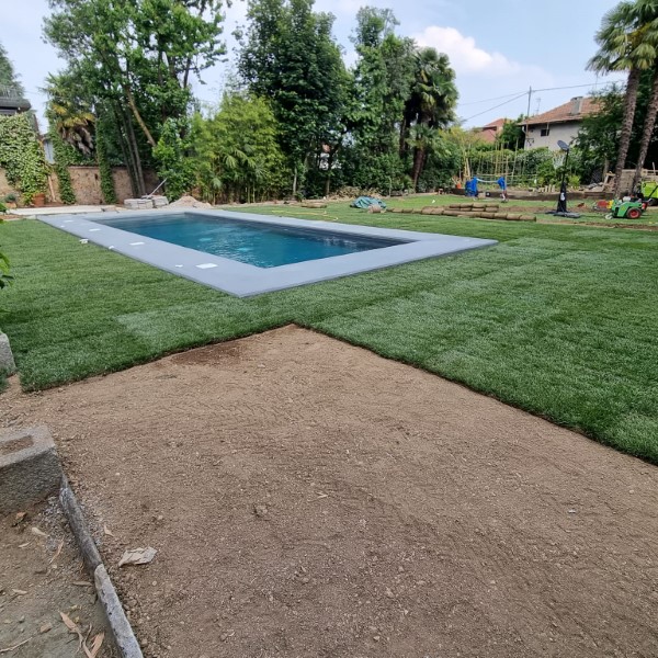 Cura alberi e verde a Parma